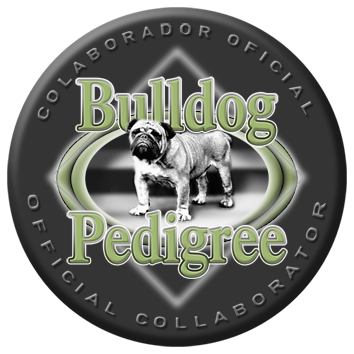 Bulldog pedigree